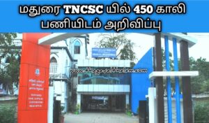 Th govt jobs